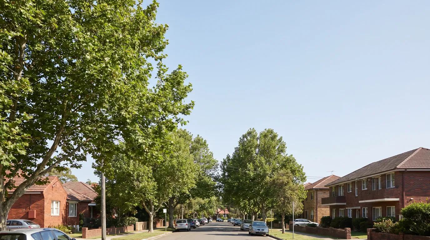 A residential street in Balgowlah, in the Manly precinct